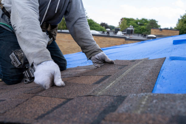 Best Gutter Installation and Roofing  in Point Venture, TX
